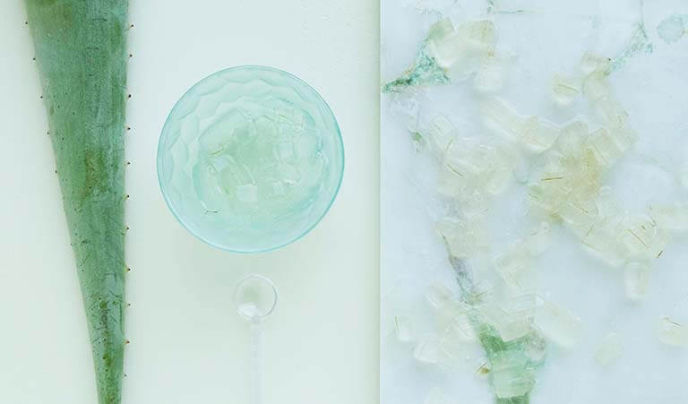 Gel de Aloe vera para regenarar la piel y las celulas