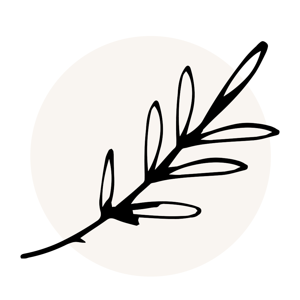 skincare natural sin maltrato animal libre de parabenos